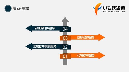 東方市標(biāo)書制作與咨詢服務(wù)優(yōu)選——小飛俠標(biāo)書公司